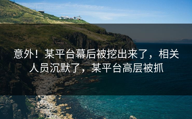 意外！某平台幕后被挖出来了，相关人员沉默了，某平台高层被抓