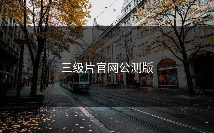 三级片官网公测版