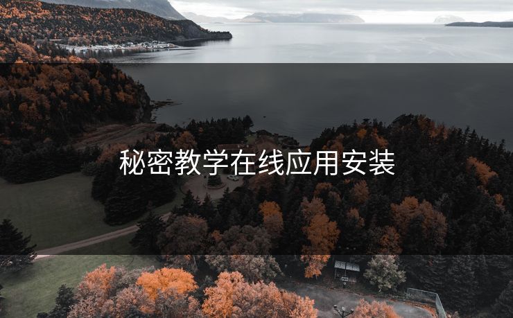 秘密教学在线应用安装