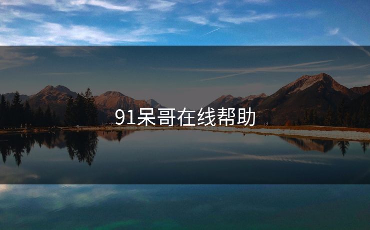 91呆哥在线帮助