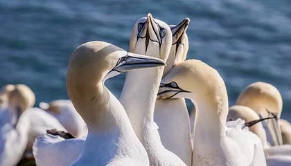 心凉半截！冷门真相曝光了，相关人员沉默了，心凉半截的图片