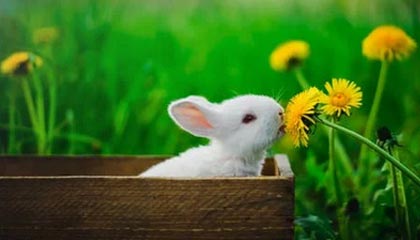 荒唐！争议点让网友吵翻了，越想越后怕