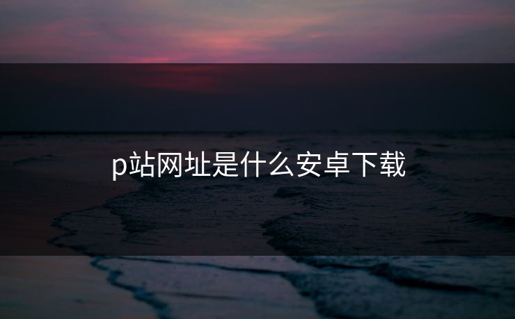 p站网址是什么安卓下载